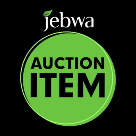 Yves Saint Laurent Bags Auth Ysl Bag Poshmark